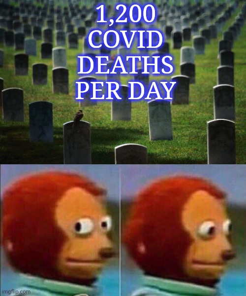 1,200 COVID DEATHS PER DAY | image tagged in graveyard cemetary,monkey looking away | made w/ Imgflip meme maker