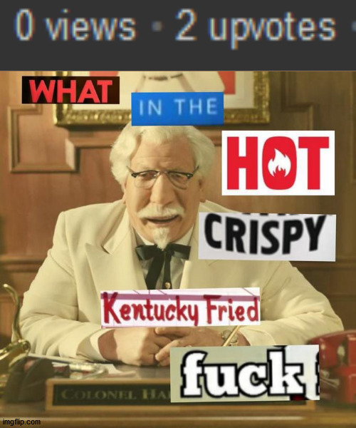 wtf | image tagged in what in the hot crispy kentucky fried frick | made w/ Imgflip meme maker