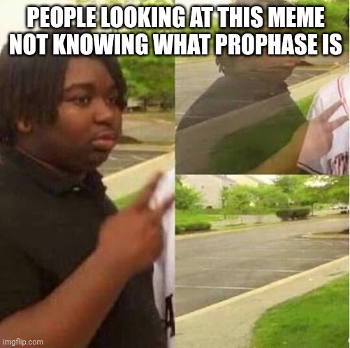 disappearing  | PEOPLE LOOKING AT THIS MEME NOT KNOWING WHAT PROPHASE IS | image tagged in disappearing | made w/ Imgflip meme maker