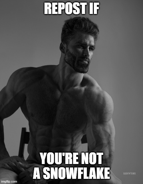 Giga Chad | REPOST IF; YOU'RE NOT A SNOWFLAKE | image tagged in giga chad | made w/ Imgflip meme maker