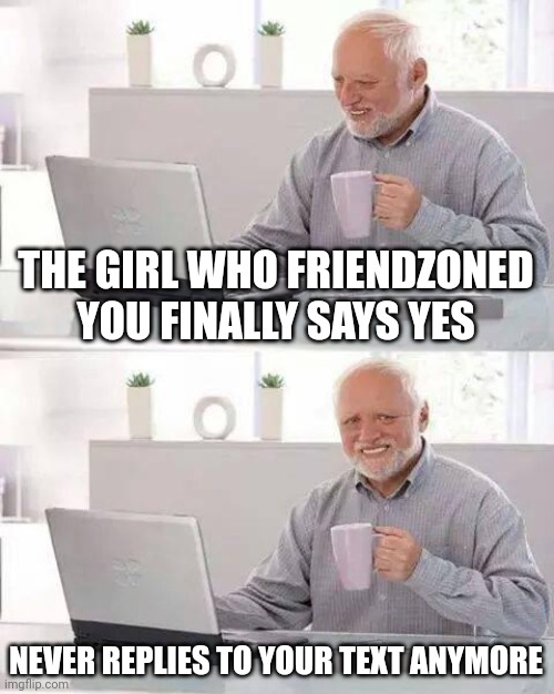 My Life Rn | THE GIRL WHO FRIENDZONED YOU FINALLY SAYS YES; NEVER REPLIES TO YOUR TEXT ANYMORE | image tagged in memes,hide the pain harold | made w/ Imgflip meme maker