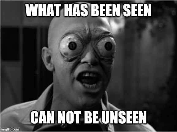 What has been seen can not be unseen | WHAT HAS BEEN SEEN; CAN NOT BE UNSEEN | image tagged in can't unsee | made w/ Imgflip meme maker
