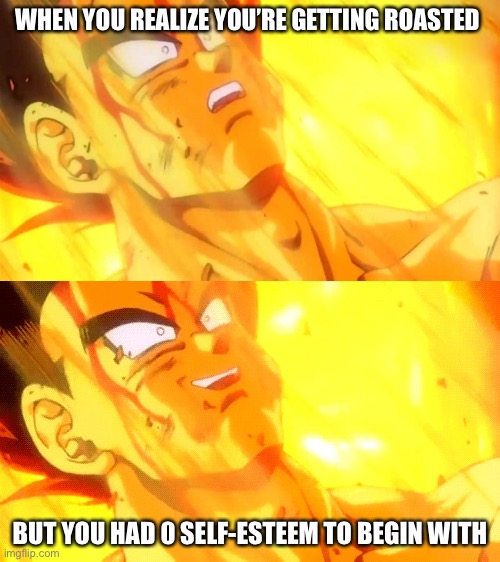 Yeah it’s a DBZ meme | WHEN YOU REALIZE YOU’RE GETTING ROASTED; BUT YOU HAD 0 SELF-ESTEEM TO BEGIN WITH | image tagged in bardock death meme | made w/ Imgflip meme maker