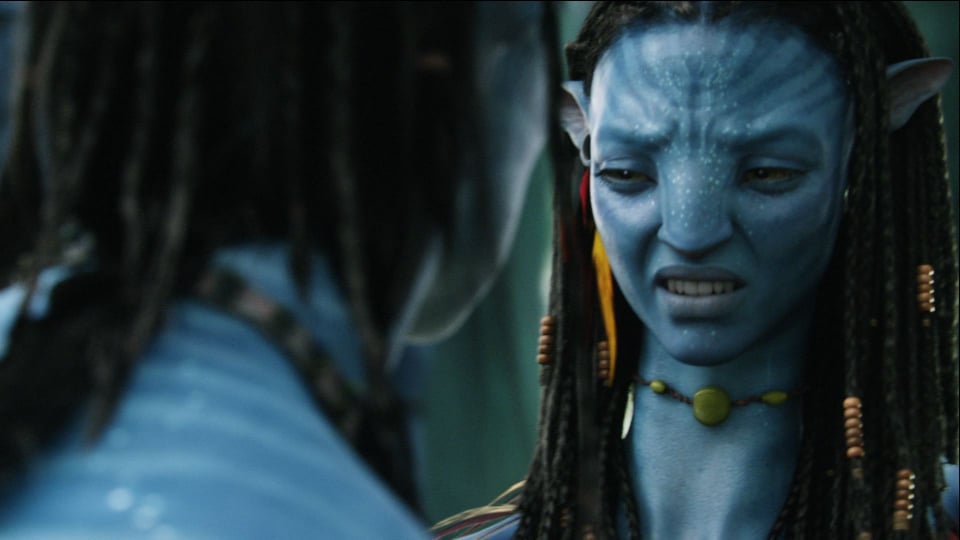 Avatar 3D Blank Meme Template