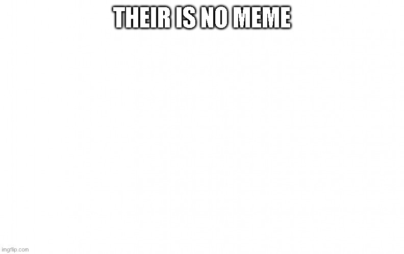 their is no meme | THEIR IS NO MEME | image tagged in wtf,funny,meme,stupied,smart,blank | made w/ Imgflip meme maker