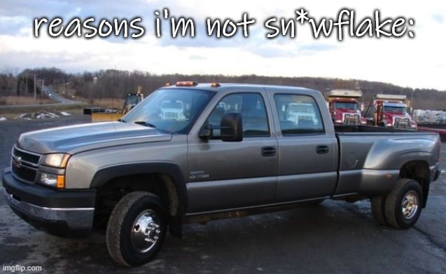 repost but add ur own reasons in comms | reasons i'm not sn*wflake: | image tagged in 06 chevy silverado | made w/ Imgflip meme maker