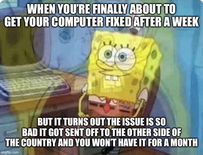 MSMG Hunger Games Season 6 won’t be until 2022 now | WHEN YOU’RE FINALLY ABOUT TO GET YOUR COMPUTER FIXED AFTER A WEEK; BUT IT TURNS OUT THE ISSUE IS SO BAD IT GOT SENT OFF TO THE OTHER SIDE OF THE COUNTRY AND YOU WON’T HAVE IT FOR A MONTH | image tagged in spongebob screaming inside | made w/ Imgflip meme maker