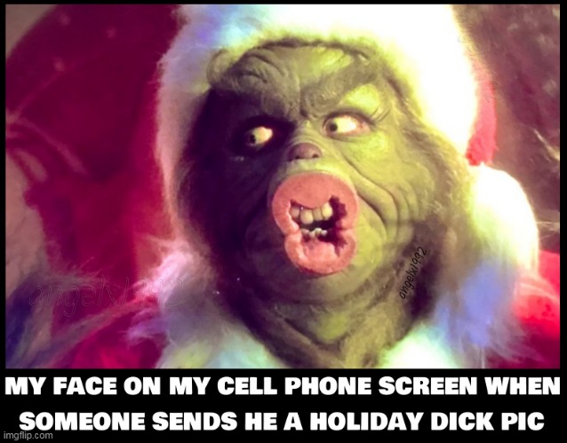 image tagged in how the grinch stole christmas,dick pics,cell phone,grinch,christmas,lgbtq | made w/ Imgflip meme maker
