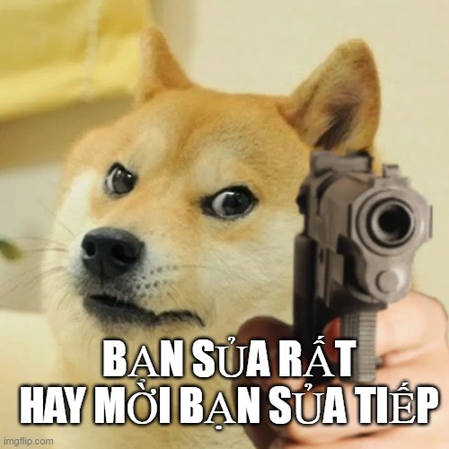 Angry doge | BẠN SỦA RẤT HAY MỜI BẠN SỦA TIẾP | image tagged in angry doge | made w/ Imgflip meme maker