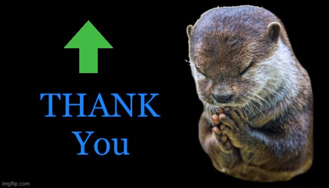 thank you | image tagged in thank you | made w/ Imgflip meme maker