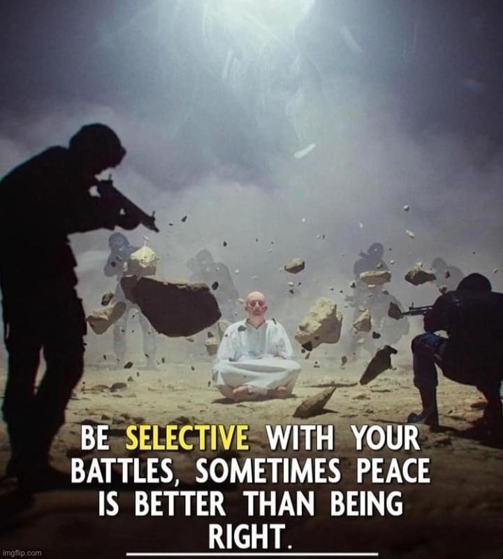 Sometimes peace is better than being right | image tagged in sometimes peace is better than being right | made w/ Imgflip meme maker