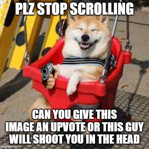 PLZ STOP SCROLLING; CAN YOU GIVE THIS IMAGE AN UPVOTE OR THIS GUY WILL SHOOT YOU IN THE HEAD | image tagged in fyp | made w/ Imgflip meme maker