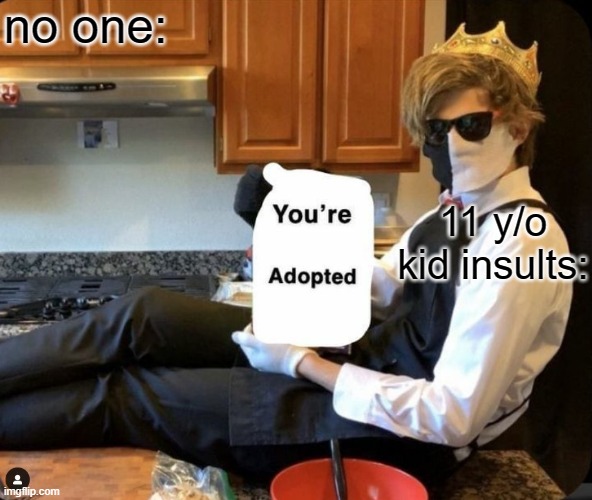 no one:; 11 y/o kid insults: | image tagged in ranboo | made w/ Imgflip meme maker
