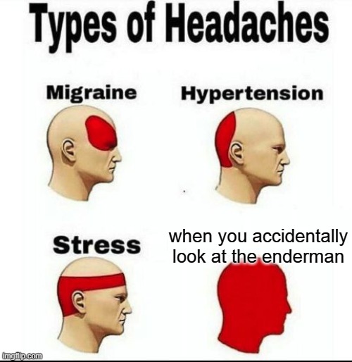 Oh no- | when you accidentally look at the enderman | image tagged in types of headaches meme,enderman,dead,run,oh wow are you actually reading these tags | made w/ Imgflip meme maker