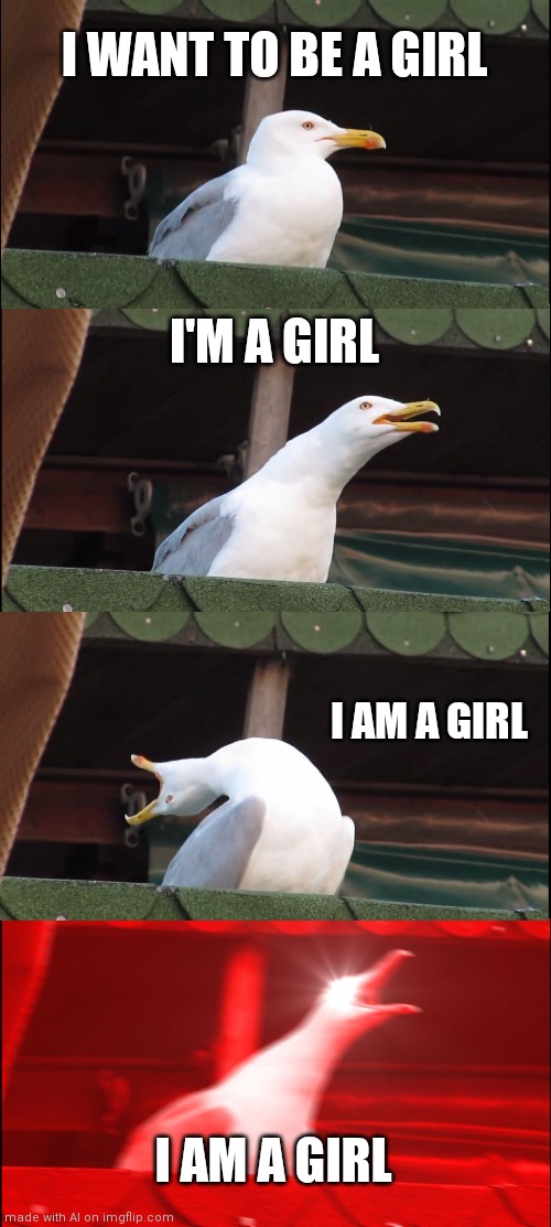 Inhaling  seagul j4cfj4f2j42cfk | I WANT TO BE A GIRL; I'M A GIRL; I AM A GIRL; I AM A GIRL | image tagged in memes,inhaling seagull | made w/ Imgflip meme maker