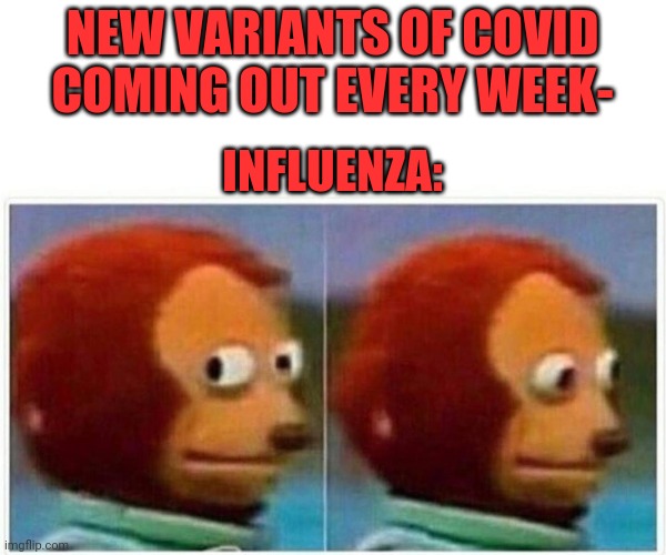 Germs | NEW VARIANTS OF COVID COMING OUT EVERY WEEK-; INFLUENZA: | image tagged in memes,monkey puppet,covid-19,influenza,cooties | made w/ Imgflip meme maker