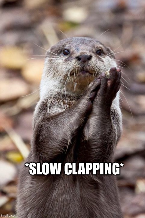 Slow-Clap Otter | *SLOW CLAPPING* | image tagged in slow-clap otter | made w/ Imgflip meme maker