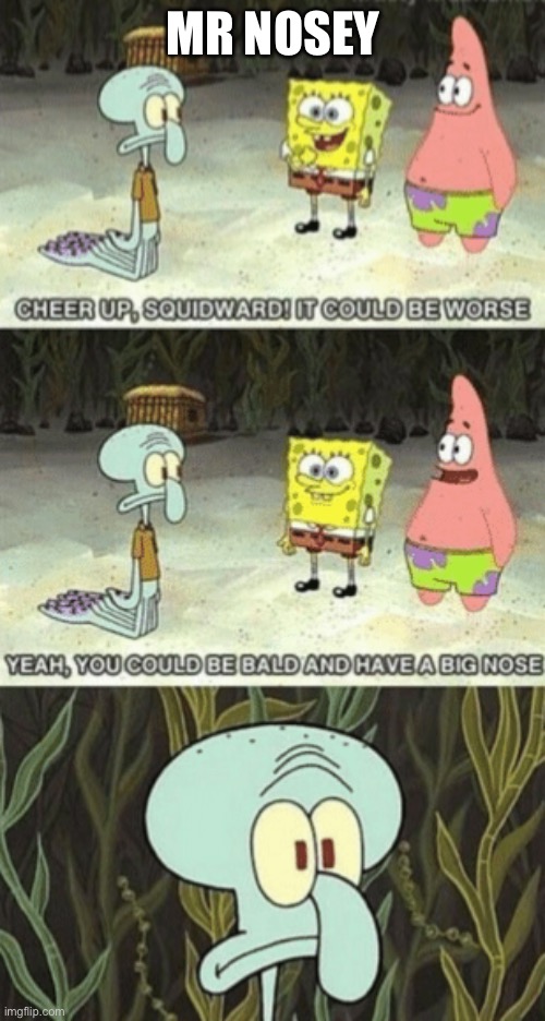 Squidward it could be worse | MR NOSEY | image tagged in squidward it could be worse | made w/ Imgflip meme maker