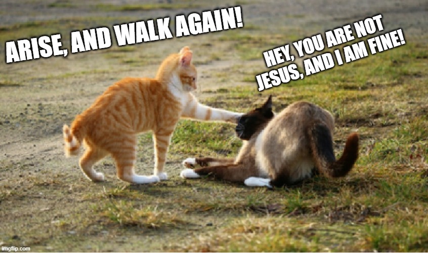 it's pronounced "hay-SOOS" | ARISE, AND WALK AGAIN! HEY, YOU ARE NOT JESUS, AND I AM FINE! | image tagged in meme | made w/ Imgflip meme maker