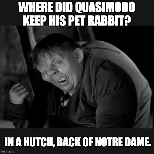 The bells.... | WHERE DID QUASIMODO KEEP HIS PET RABBIT? IN A HUTCH, BACK OF NOTRE DAME. | image tagged in quasimodo | made w/ Imgflip meme maker