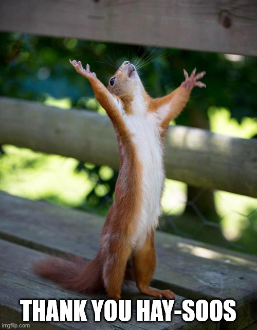 Thank you Jesus squirrel | THANK YOU HAY-SOOS | image tagged in thank you jesus squirrel | made w/ Imgflip meme maker