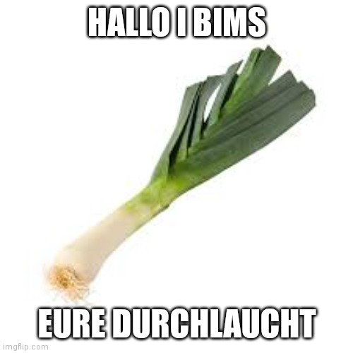 lauch | HALLO I BIMS; EURE DURCHLAUCHT | image tagged in lauch | made w/ Imgflip meme maker