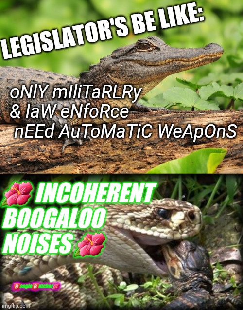 Common sense  laws Blank Meme Template