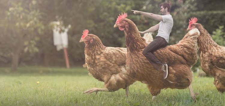 Man riding chicken Blank Meme Template