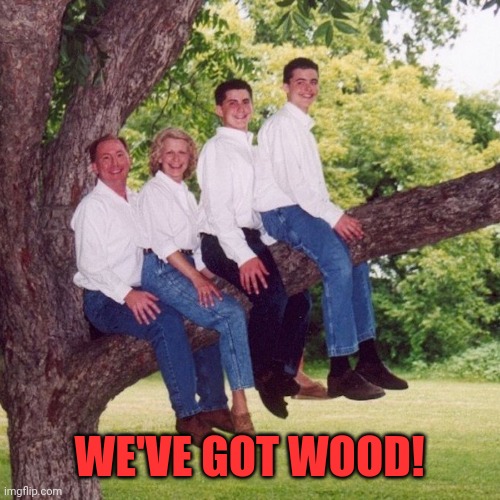 Fam | WE'VE GOT WOOD! | image tagged in weird stuff,family guy,eight is enough,sporting half a chub,satanic woody | made w/ Imgflip meme maker
