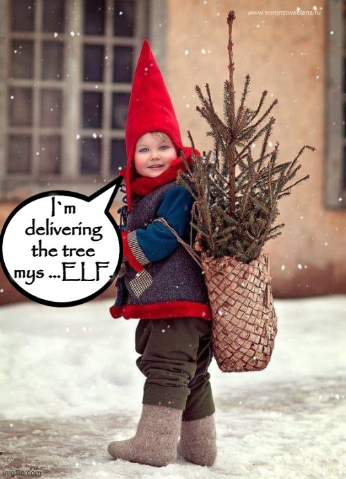 sELF Delivery ! | I`m
delivering
the tree
mys ...ELF. | image tagged in christmas tree | made w/ Imgflip meme maker