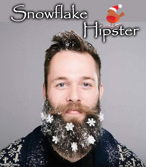 Hipster | Snowflake              
                     Hipster | image tagged in special snowflake | made w/ Imgflip meme maker