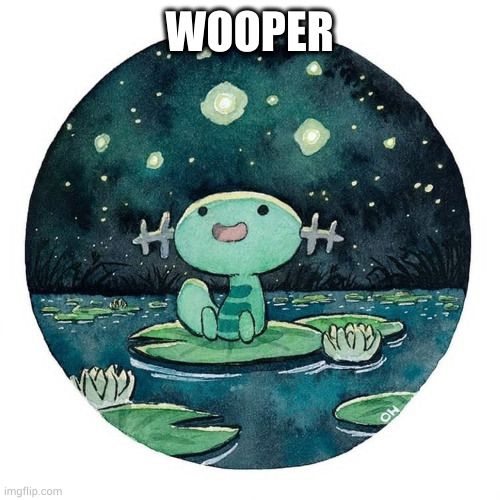 WOOPER | made w/ Imgflip meme maker