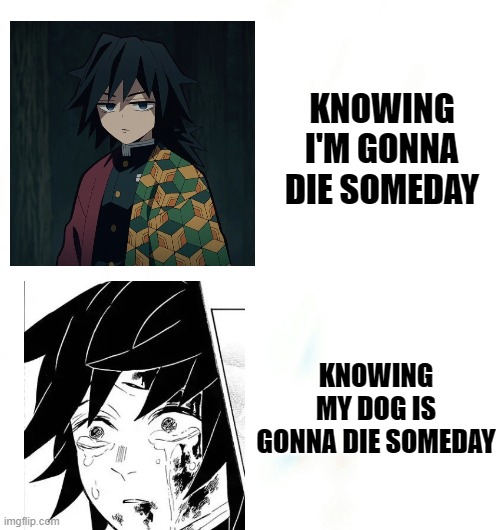Do you love your dog if you have one? | KNOWING I'M GONNA DIE SOMEDAY; KNOWING MY DOG IS GONNA DIE SOMEDAY | image tagged in anime | made w/ Imgflip meme maker