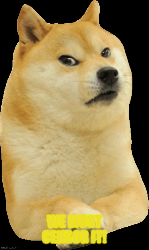 mad doge | WE MUST CENSOR IT! | image tagged in mad doge | made w/ Imgflip meme maker