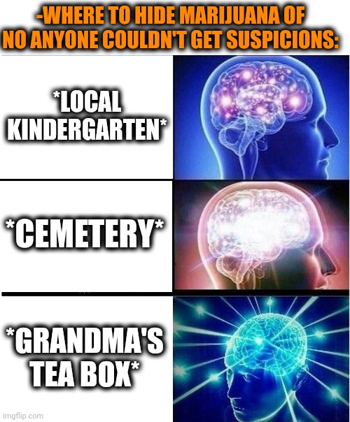 -Bringing idea. |  -WHERE TO HIDE MARIJUANA OF NO ANYONE COULDN'T GET SUSPICIONS:; *LOCAL KINDERGARTEN*; *CEMETERY*; *GRANDMA'S TEA BOX* | image tagged in expanding brain 3 panels,medical marijuana,hide,trading places,green day,smoke weed everyday | made w/ Imgflip meme maker