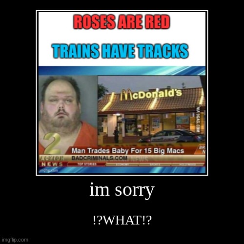 Im sorry but......WHat | image tagged in funny | made w/ Imgflip demotivational maker