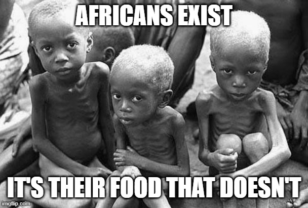 Makes My Stomach Hurt | AFRICANS EXIST; IT'S THEIR FOOD THAT DOESN'T | image tagged in starving africans | made w/ Imgflip meme maker
