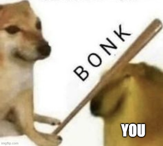 Bonk | YOU | image tagged in bonk | made w/ Imgflip meme maker