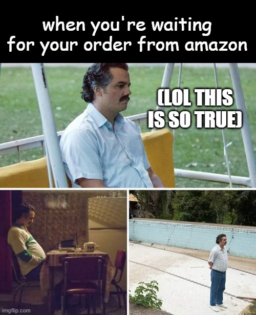 Sad Pablo Escobar | when you're waiting for your order from amazon; (LOL THIS IS SO TRUE) | image tagged in memes,sad pablo escobar | made w/ Imgflip meme maker