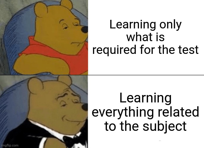 Tuxedo Winnie The Pooh Meme | Learning only what is required for the test; Learning everything related to the subject | image tagged in memes,tuxedo winnie the pooh | made w/ Imgflip meme maker
