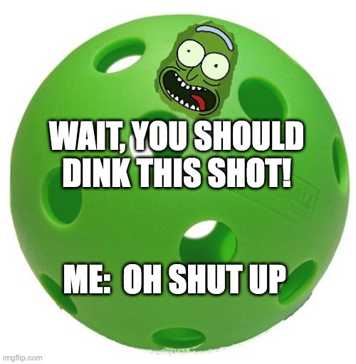 I Play My Way | WAIT, YOU SHOULD DINK THIS SHOT! ME:  OH SHUT UP | image tagged in pickleball rick | made w/ Imgflip meme maker