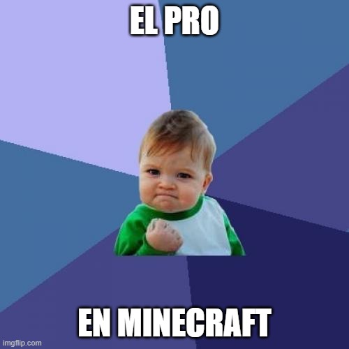 Success Kid | EL PRO; EN MINECRAFT | image tagged in memes,success kid | made w/ Imgflip meme maker