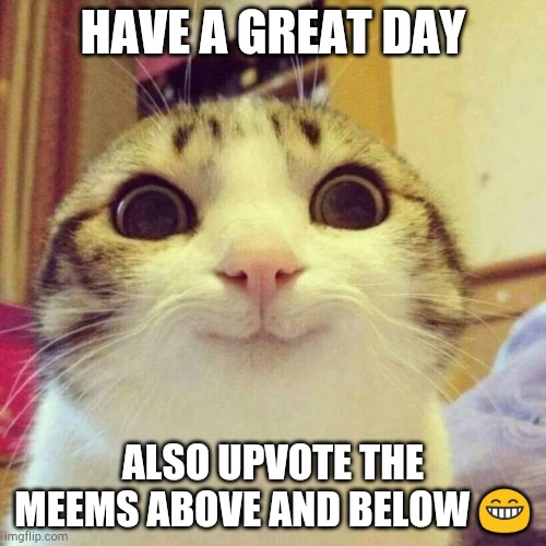 Smiling Cat | HAVE A GREAT DAY; ALSO UPVOTE THE MEEMS ABOVE AND BELOW 😁 | image tagged in memes,smiling cat | made w/ Imgflip meme maker