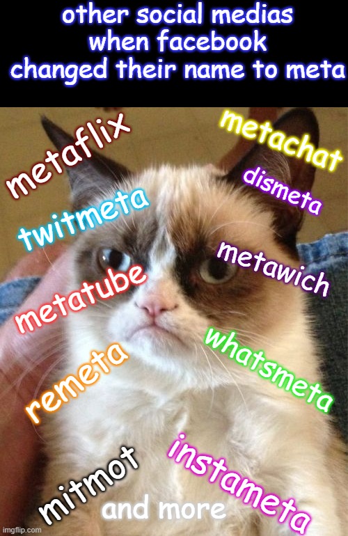 The Meta | other social medias when facebook changed their name to meta; metachat; metaflix; dismeta; twitmeta; metatube; metawich; whatsmeta; remeta; instameta; mitmot; and more | image tagged in memes,grumpy cat | made w/ Imgflip meme maker