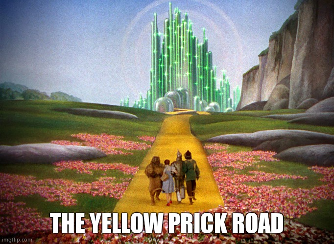 yellow brick road | THE YELLOW PRICK ROAD | image tagged in yellow brick road | made w/ Imgflip meme maker