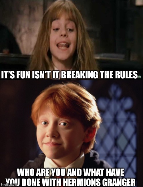 WHO ARE YOU AND WHAT HAVE YOU DONE WITH HERMIONS GRANGER IT’S FUN ISN’T IT BREAKING THE RULES | image tagged in hermione,ron weasley | made w/ Imgflip meme maker