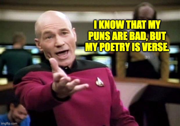 Puns | I KNOW THAT MY PUNS ARE BAD, BUT MY POETRY IS VERSE. | image tagged in startrek | made w/ Imgflip meme maker