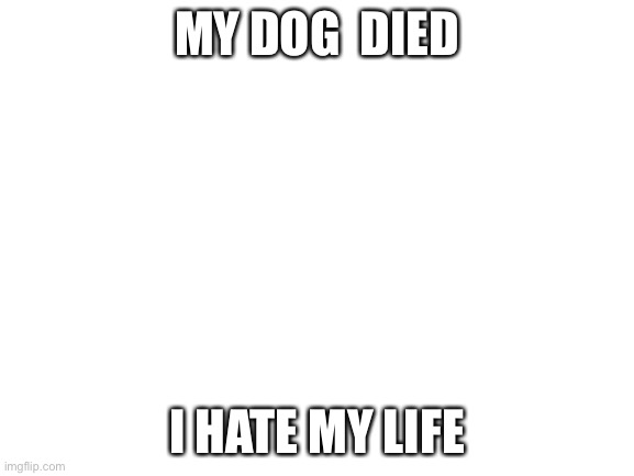 I’m so sad help me | MY DOG  DIED; I HATE MY LIFE | image tagged in blank white template | made w/ Imgflip meme maker