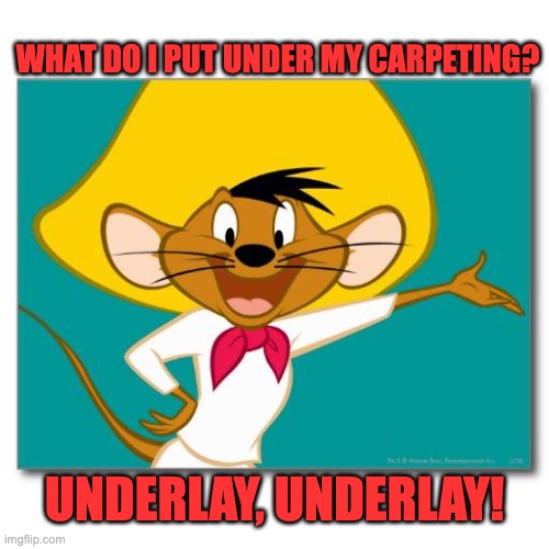 Flooring | WHAT DO I PUT UNDER MY CARPETING? UNDERLAY, UNDERLAY! | image tagged in speedy recovery | made w/ Imgflip meme maker