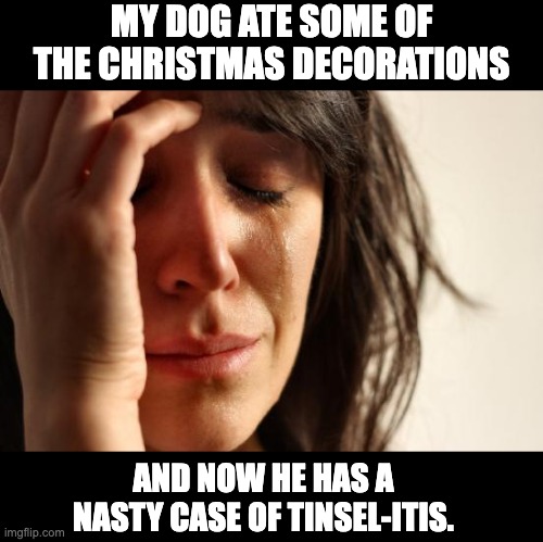 doggone! | MY DOG ATE SOME OF THE CHRISTMAS DECORATIONS; AND NOW HE HAS A NASTY CASE OF TINSEL-ITIS. | image tagged in memes,first world problems | made w/ Imgflip meme maker